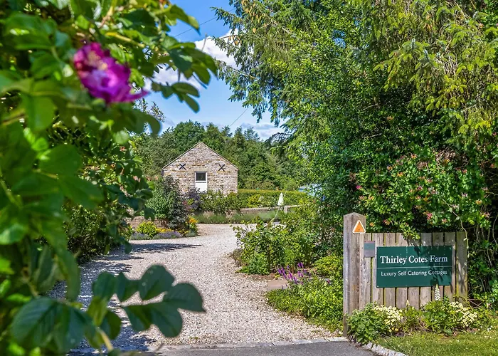 Pear Tree * Cloughton