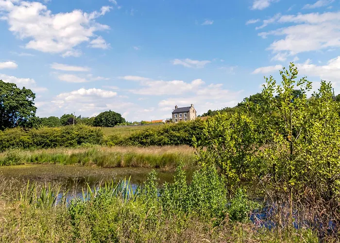 Pear Tree * Cloughton